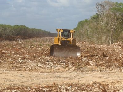 Con omisiones e imprecisiones, la Manifestación de Impacto Ambiental para el Tren Maya: ONG