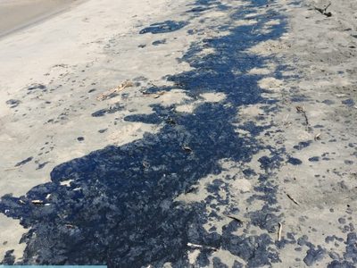 Grupo interdisciplinario atiende derrame de hidrocarburo en el Golfo de México