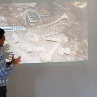 Investigadores presentan resultados del hallazgo de restos óseos en cueva de San Cristóbal de las Casas