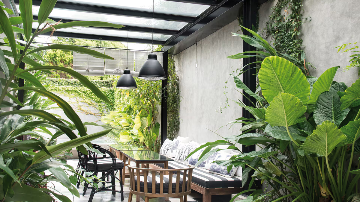 Plantas XL. Fuente: (Instagram)