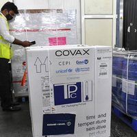 Coronavirus: llegó al país un nuevo lote de vacunas de AstraZeneca