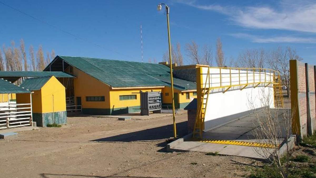 Matadero de Zapala Fuente: (Twitter)