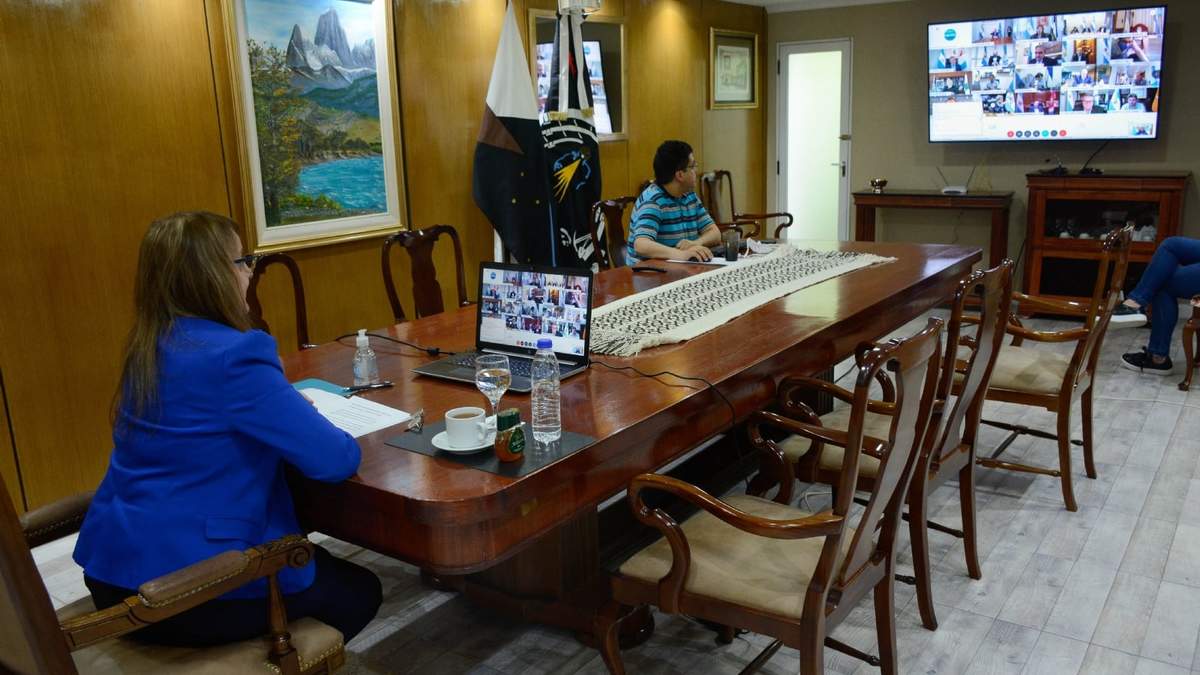 Alicia Kirchner en videoconferencia. (Fuente: Twitter)
