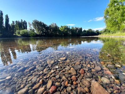 Suspendieron el aumento de caudal del río Neuquén que habían solicitado los consorcios de riego