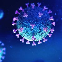 La OMS nombra como Omicron a la nueva variante; advierte de un posible "mayor riesgo de reinfección"