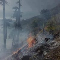 Guardaparques siguen con los trabajos para apagar fogones en lugar no habilitados
