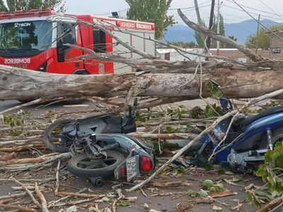 Un motociclista murió aplastado por un árbol en Las Heras y otro resultó herido