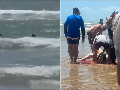 Ataques consecutivos de tiburón a turistas en la Isla del Padre, Texas (Videos)
