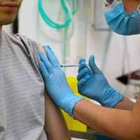 México se aseguró 51,6 millones de dosis de vacunas