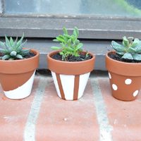 Con 2 cosas baratas y fáciles de conseguir: creá esto tan lindo para decorar macetas, con estilo Pinterest