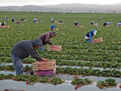 En el limbo, millones de indocumentados: A contrarreloj, los proyectos sobre migración