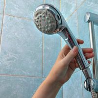 No llames al plomero: el truco para eliminar todo el sarro del cabezal de tu ducha con solo 2 ingredientes