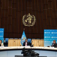 Tedros: uno de cada siete casos de covid-19 es de personal sanitario
