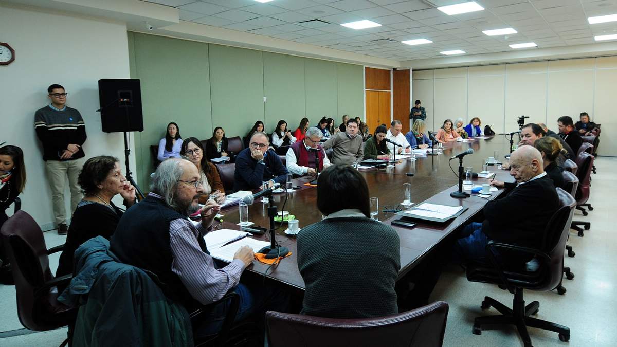 La Apdh expuso en la reunión de comisión.. Fuente: (Legislatura Neuquén)
