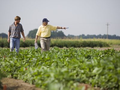 Retenciones a la soja: agrarios denuncian un “tratamiento diferenciado” del Gobierno