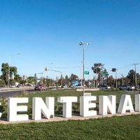 Cayeron dos árboles y dejaron sin luz a un sector rural de Centenario