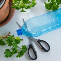 No tires las botellas de plástico y creá estas originales macetas colgantes que son una belleza