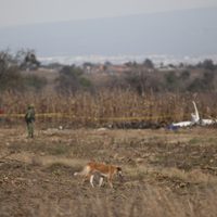 Juez federal atrae juicio por la muerte de Moreno Valle en helicopterazo