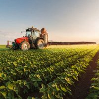 El Gobierno elimina trámites clave para el campo: ya no se exigirán habilitaciones municipales