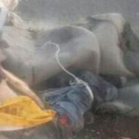 Torturan y ejecutan a dos hombres en Michoacán
