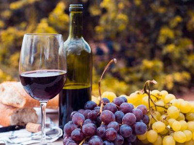 Bodegas de Argentina se une al Consejo Agroindustrial