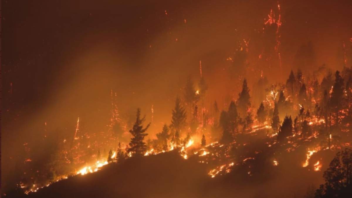 Incendio forestal. Fuente: (Twitter)