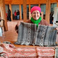 En Aluminé las mujeres tejedoras pusieron en valor sus diseños tejidos