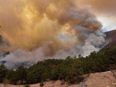 Altas temperaturas provocan 180 incendios en Nuevo León