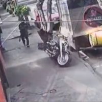 ONG acusa a un hombre de matar perros y gatos para comerlos crudos en Azcapotzalco