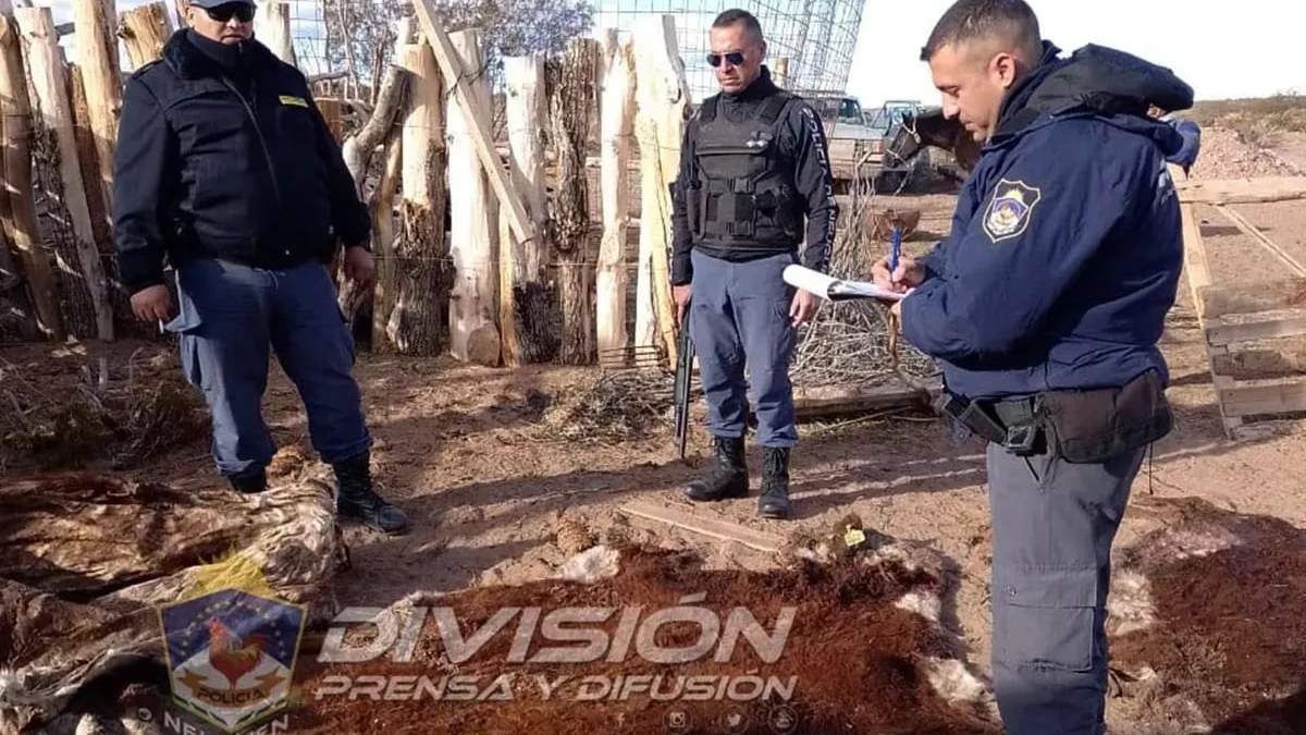 Un procedimiento policial por abigeato en el interior de la provincia. Fuente (Policía de Neuquén)