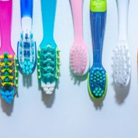 No tires los cepillos de dientes viejos: creá esta fabulosa manualidad para decorar tu hogar