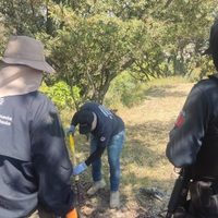 Localizan siete fosas en Zapopan; perros merodeaban con restos humanos
