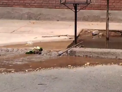 Video: una acequia tapada de basura se desbordó en Ciudad