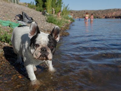 Clima en Neuquén: jornada calurosa en los valles y alerta de tormentas en el norte de Neuquén