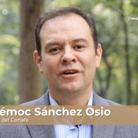Denuncian al titular de la Conafe por violencia, acoso y hostigamiento