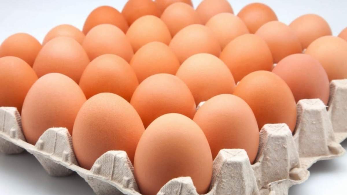 Huevos