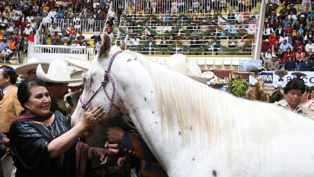 Murió Flor Silvestre