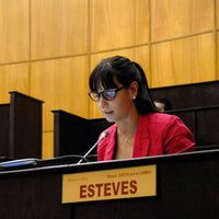 Esteves: “Voté en contra del boleto estudiantil porque desconocemos el costo fiscal”