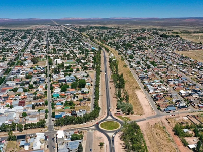 Un destino distinto en Neuquén: vinos, dioramas y gigantes en la ciudad que sueña con ser el paraíso motorhome