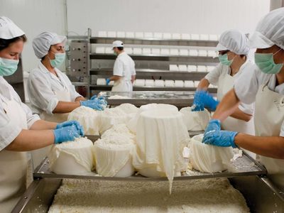 Pymes lácteas buscan incorporarse al Plan Argentina contra el Hambre