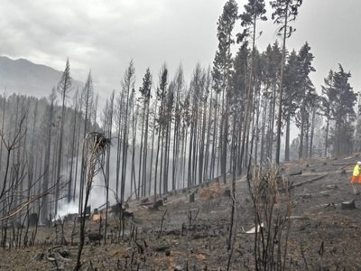 "Tendencia climática compleja": Chubut se prepara y teme por dos riesgos latentes