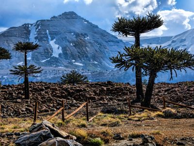 Crece la inestabilidad: así estará el clima este jueves en Neuquén
