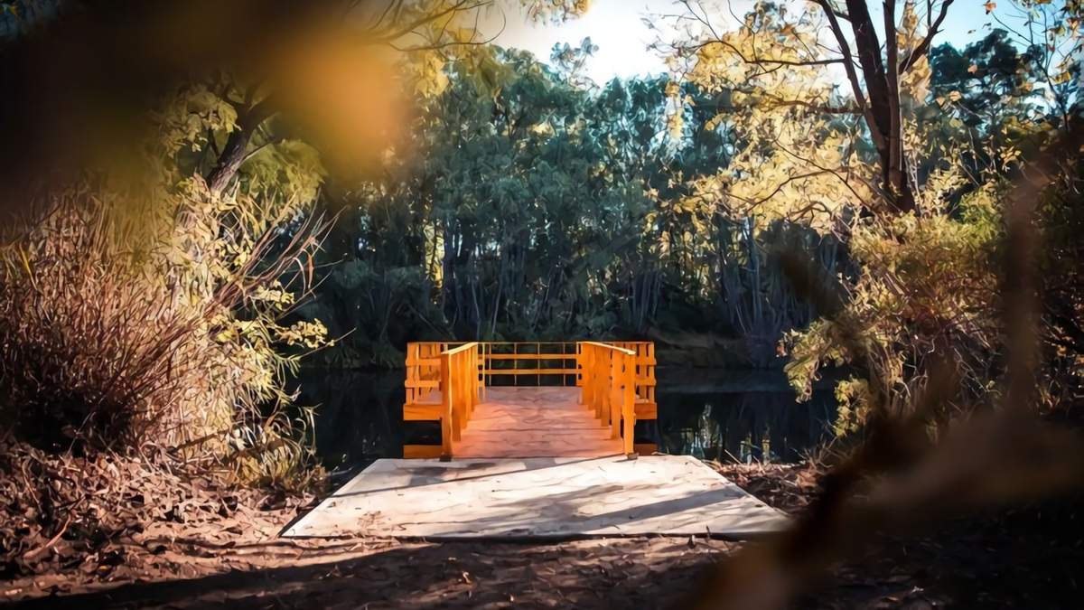 Mirador del Jardín Botánico de Plottier. Fuente: (Twitter)