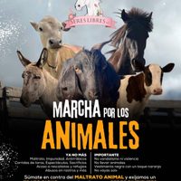 Defensores de los derechos de los animales marcharán este sábado en la CDMX
