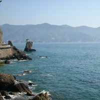 Debajo del agua, también: una “ola de calor marina” afecta el Mediterráneo occidental
