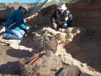 Investigadores del CONICET hallaron una nueva especie de dinosaurio en Neuquén