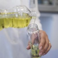 No tires las botellas de aceite y hacete estas increíbles y prácticas macetas colgantes para tus plantas