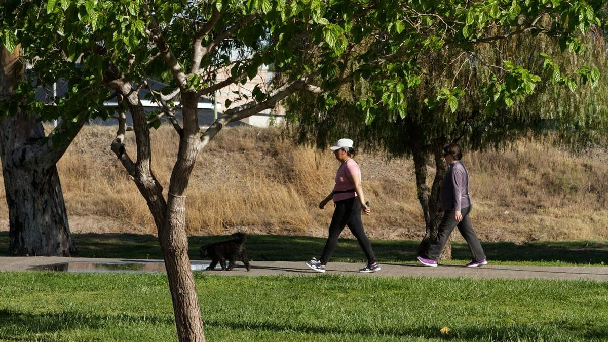 Luego de una jornada ventosa, llega el tiempo bueno. Fuente: (Emiliano Ortíz).