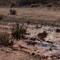 Denuncian a YPF por convertir a Neuquén en un "territorio de sacrificio" por pozos abandonados y contaminación sin control