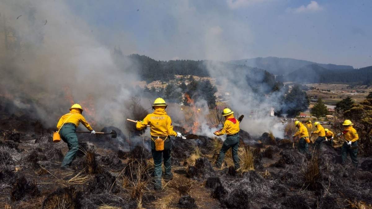 Algunas casas fueron alcanzadas por las llamas. Fuente: (Twitter)
